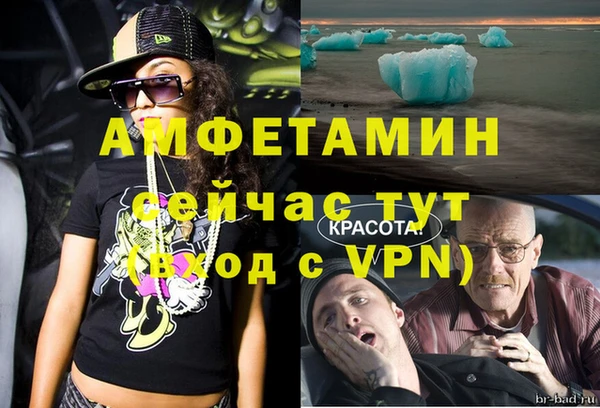 стаф Богданович