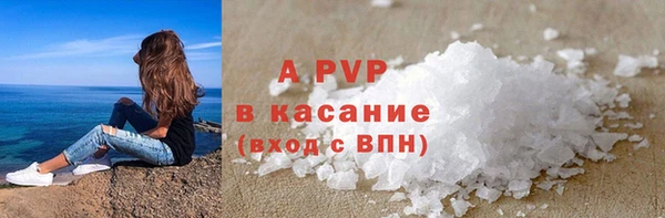 стаф Богданович
