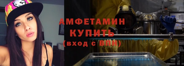 стаф Богданович