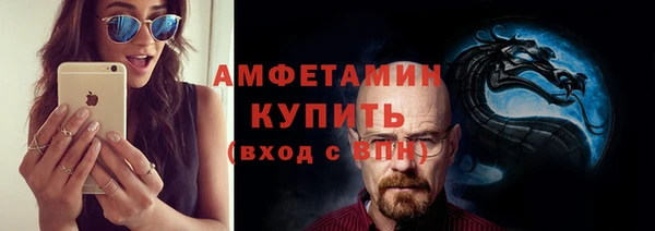 стаф Богданович