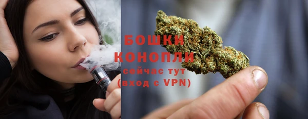 крисы Богородск