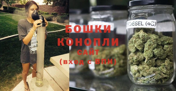 крисы Богородск