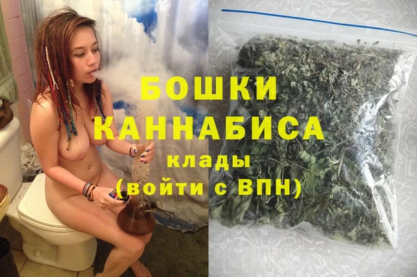 крисы Богородск