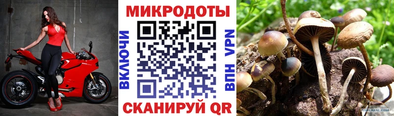 Галлюциногенные грибы Magic Shrooms  Купить  Гаврилов Посад 